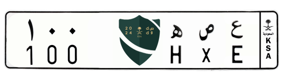 لوحة ع ص ه 100